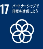 17. パートナーシップで目標を達成しよう
